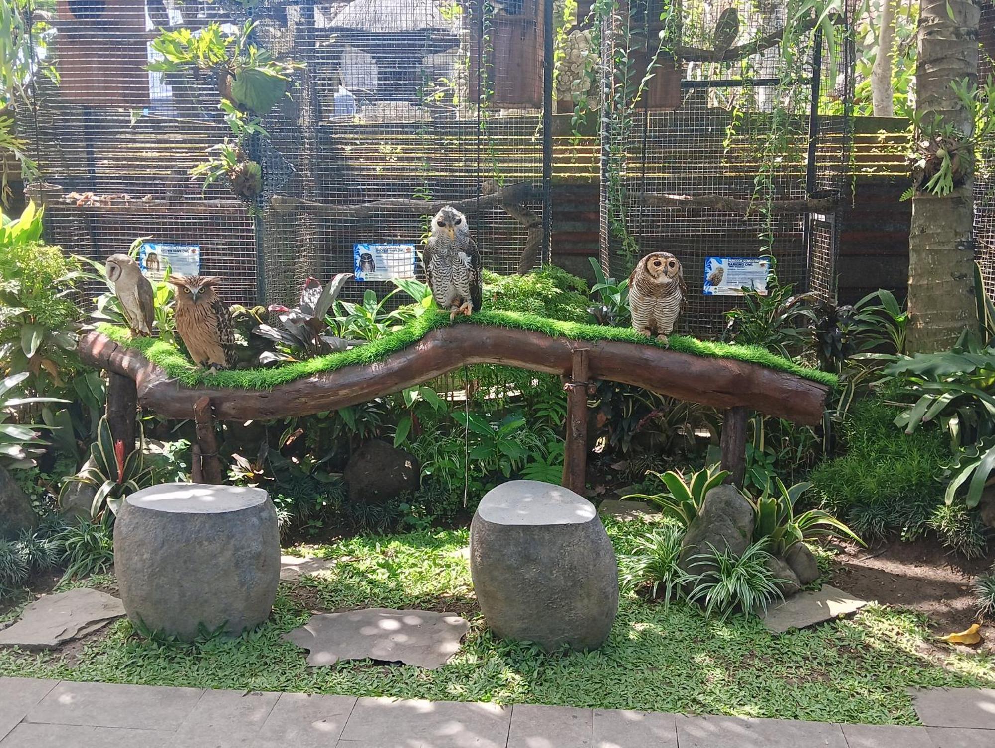 Liyer Spirit House Hotel Ubud Exterior foto