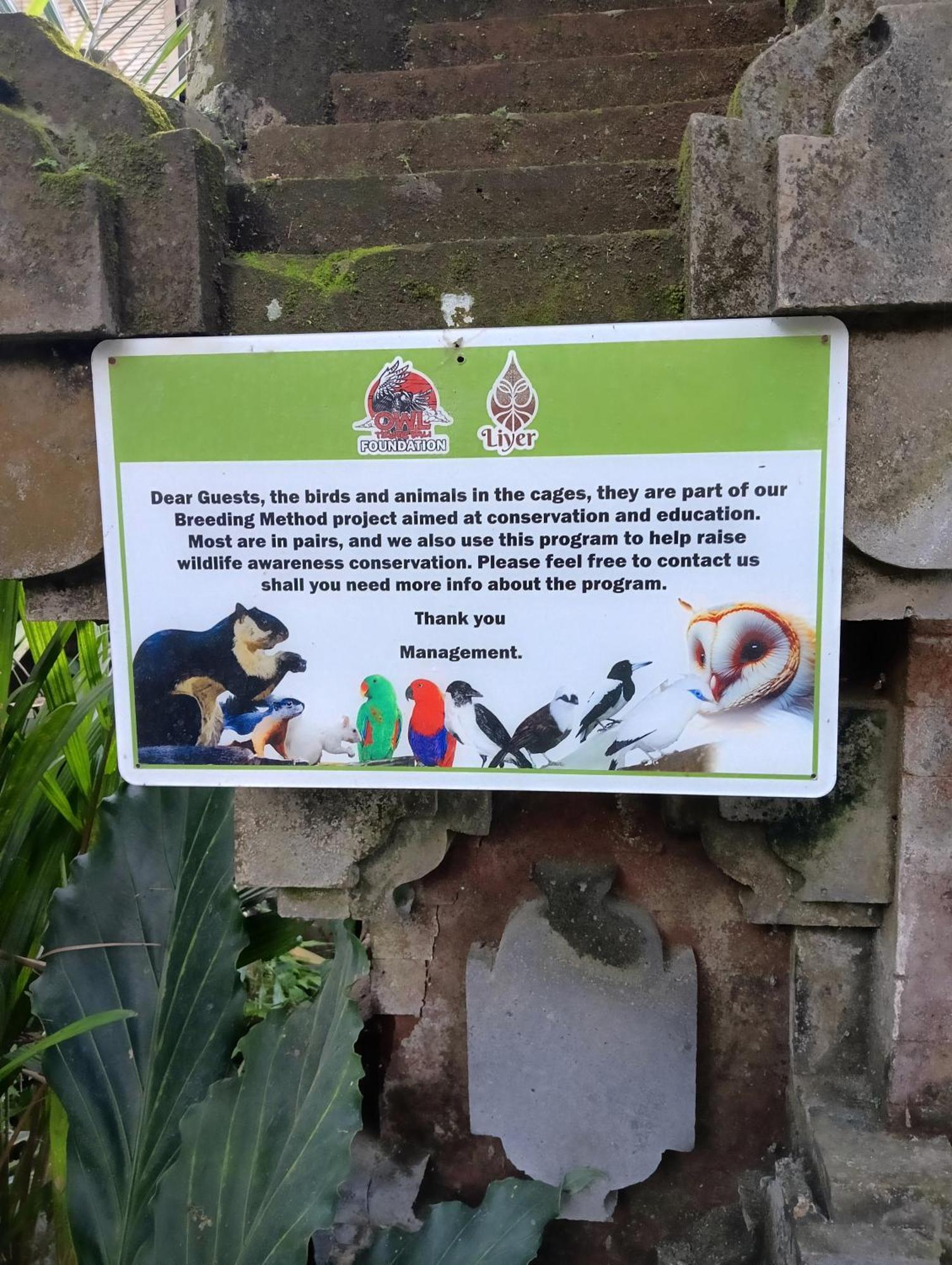 Liyer Spirit House Hotel Ubud Exterior foto